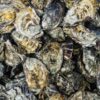 Oyster Example - Image 5