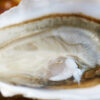 Oyster Example - Image 4