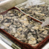 Oyster Example - Image 3